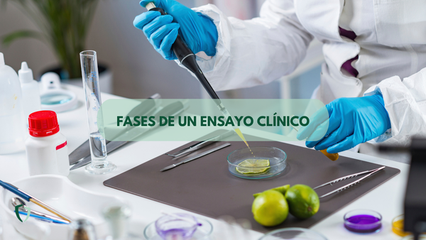 Fases de un ensayo clínico Personal científico haciendo un experimento para un ensayo clínico