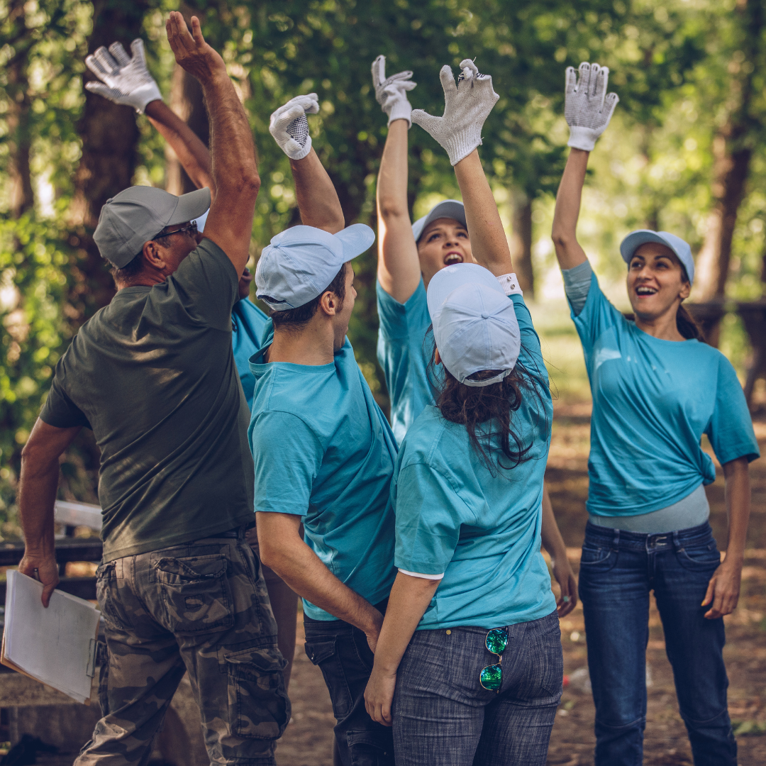 Voluntarios en el bosqur haciendo actividades