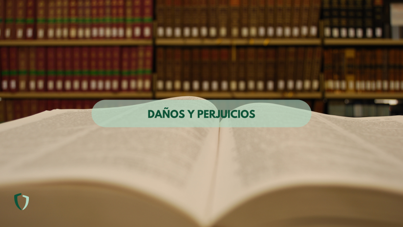 Libro de leyes abierto en una biblioteca